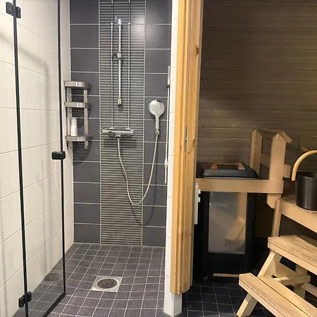 Arctic Aurora Rovaniemi