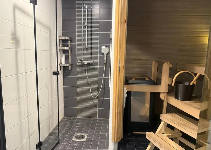 Arctic Aurora Rovaniemi